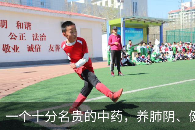 一个十分名贵的中药，养肺阴、健脾胃、补肾精，还对糖尿病有疗效