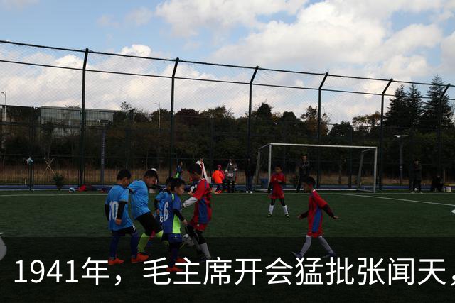 1941年，毛主席开会猛批张闻天，张：我缺乏实际经验，现在去农村补课